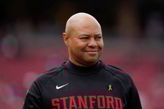 Picture of David Shaw