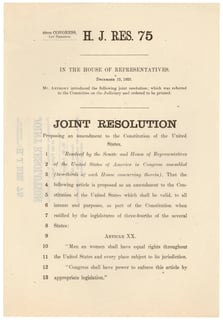 Picture of Equal Rights Amendment