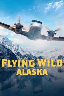 Picture of Flying Wild Alaska