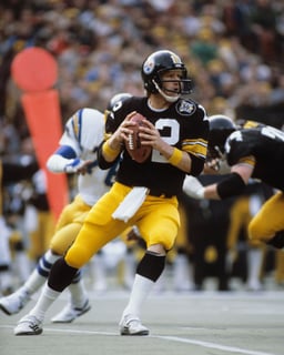 Picture of Terry Bradshaw