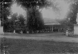 Picture of Subang
