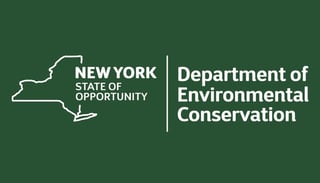 Picture of New York State Department of Environmental Conservation
