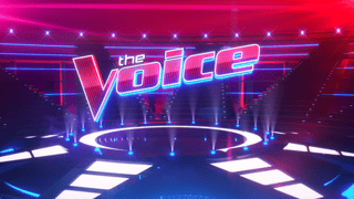Picture of The Voice