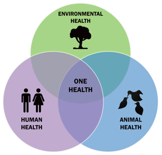Picture of One Health