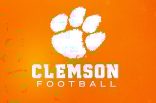 Picture of Clemson Tigers