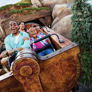 Picture of Seven Dwarfs Mine Train