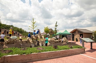 Picture of Dinosaur Park