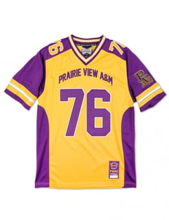Picture of Prairie View A&amp;M Panthers football