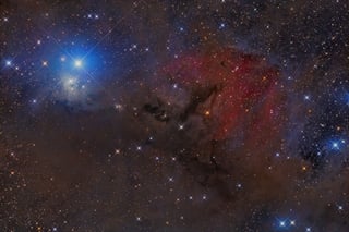 Picture of IC 348