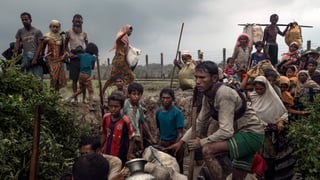 Picture of Ethnic cleansing