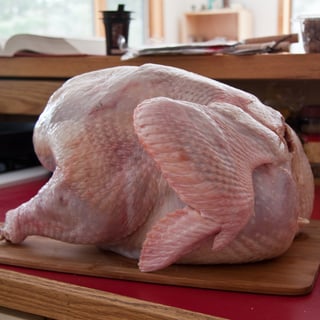 Picture of Turkey meat