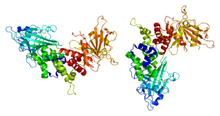 Picture of PTPRC