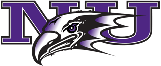 Picture of Niagara Purple Eagles