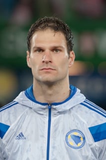 Picture of Asmir Begović