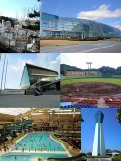 Picture of Iwaki