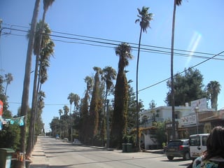 Picture of Binyamina-Giv'at Ada