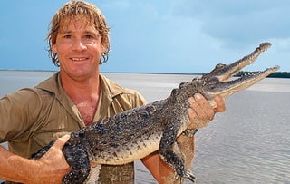 Picture of Steve Irwin