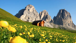Picture of Fassa Valley