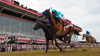 Picture of Preakness Stakes