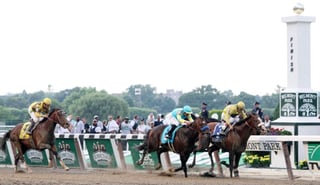 Picture of Belmont Stakes