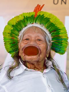 Picture of Raoni Metuktire