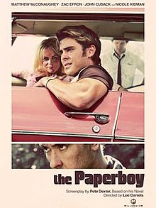 Picture of Paperboy, The