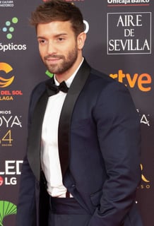 Picture of Pablo Alborán