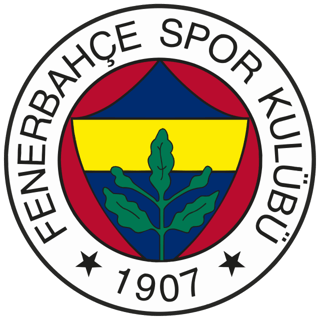 Picture of Fenerbahçe SK