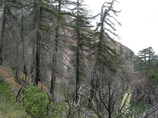 Picture of Lytle Creek