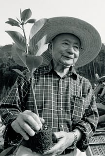 Picture of Akira Miyawaki