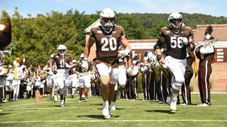 Picture of Lehigh Mountain Hawks football