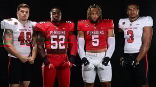 Picture of Youngstown State Penguins football