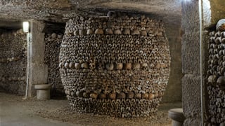 Picture of Catacombs of Paris