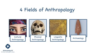 Picture of Anthropology
