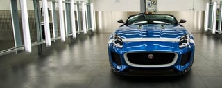 Picture of Jaguar