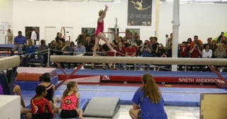 Picture of World Olympic Gymnastics Academy
