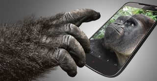 Picture of Gorilla Glass