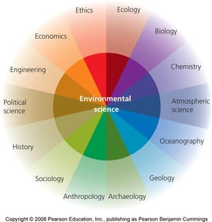 Picture of Environmental science