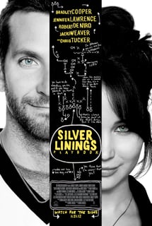 Picture of Silver Linings Playbook