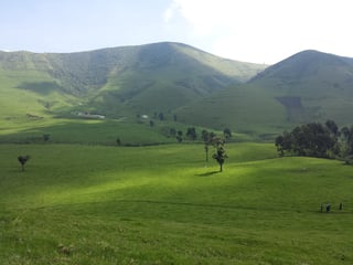 Picture of Masisi Territory