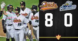 Picture of Long Island Ducks