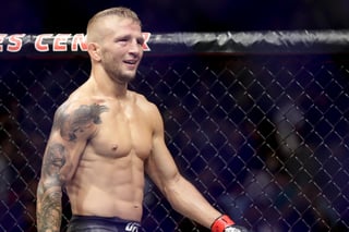 Picture of T.J. Dillashaw