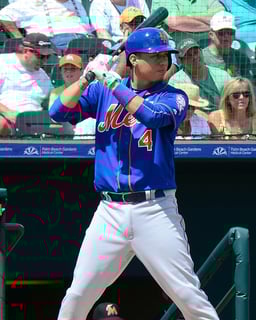 Picture of Wilmer Flores