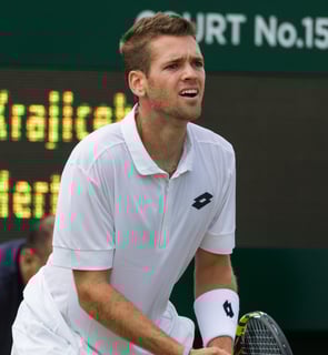 Picture of Austin Krajicek