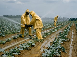 Picture of Agriculture