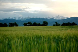 Picture of Prairie