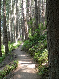 Picture of Trail