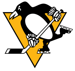 Picture of Pittsburgh Penguins