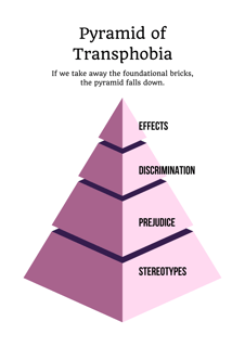 Picture of Transphobia