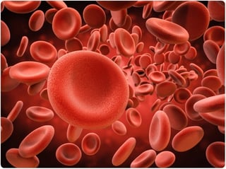 Picture of Red blood cell